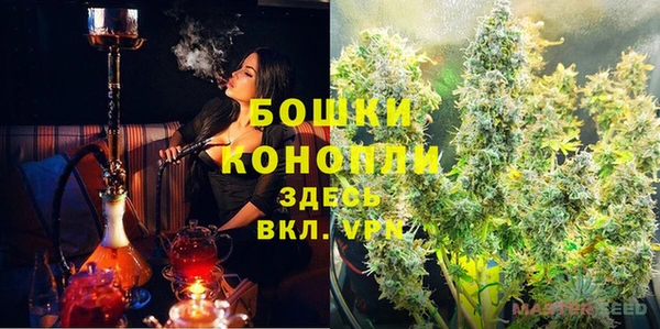 трава Арсеньев