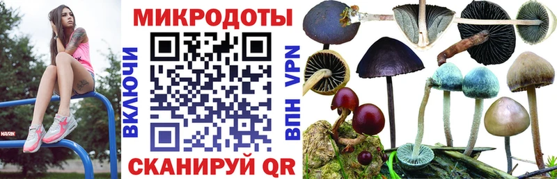 хочу наркоту  Снежинск  Галлюциногенные грибы Psilocybine cubensis 